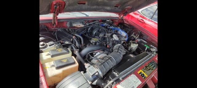 2003 Ford Explorer in Pompano Beach, FL 33064 - 1268844 24