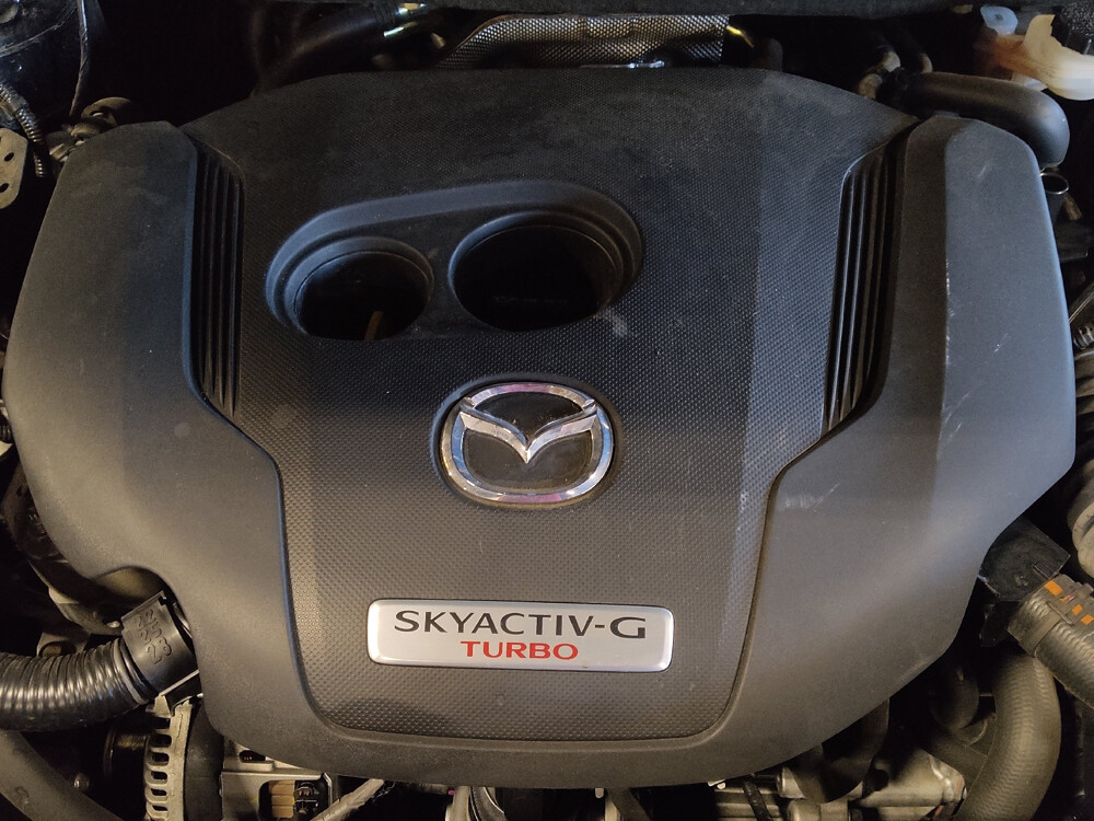 2022 MAZDA CX-9 in Jacksonville, FL 32210 - 18032081 30