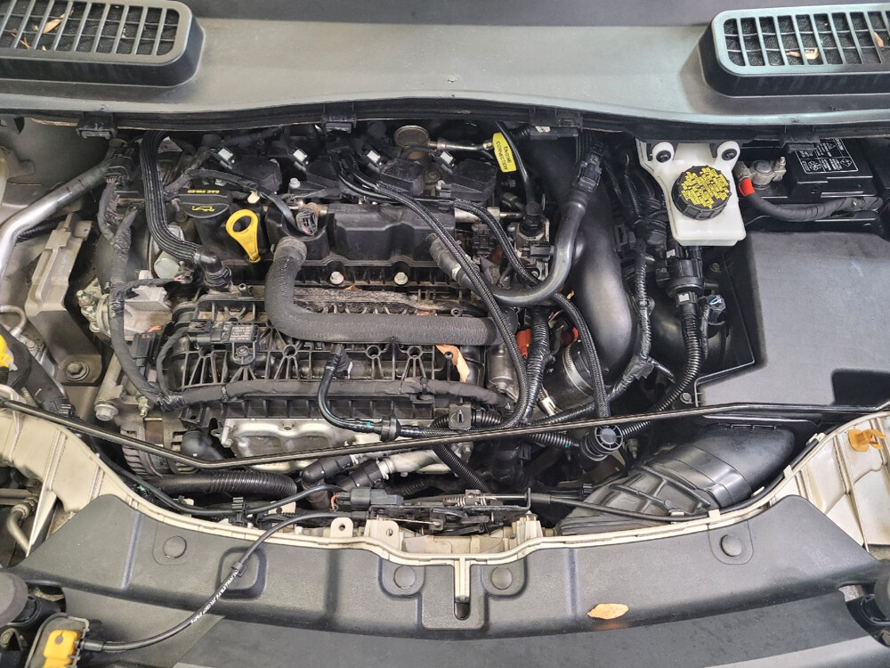 2018 Ford Escape in Louisville, KY 40258 - 18041857 30