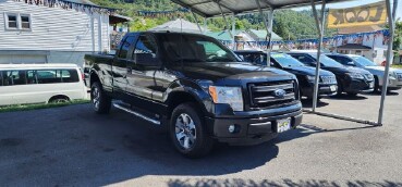 2014 Ford F150 in Barton, MD 21521