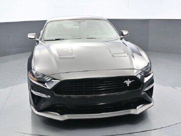 2019 Ford Mustang in Winchester, VA 22602