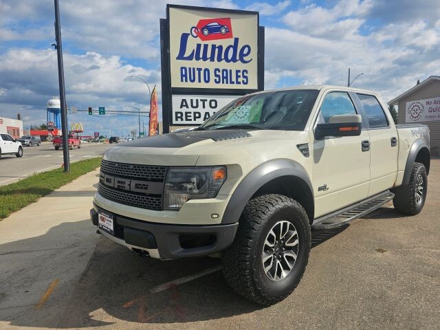 2013 Ford F150 in Wadena, MN 56482 - 18056493