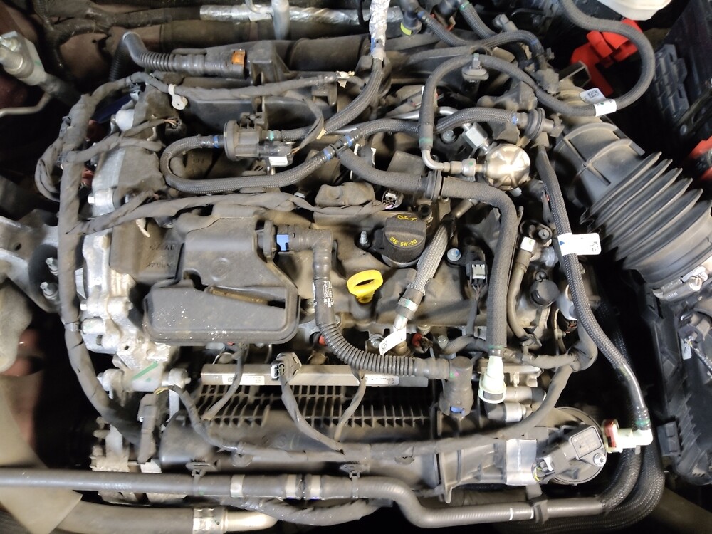 2021 Ford Escape in Greenville, SC 29607 - 18073110 30