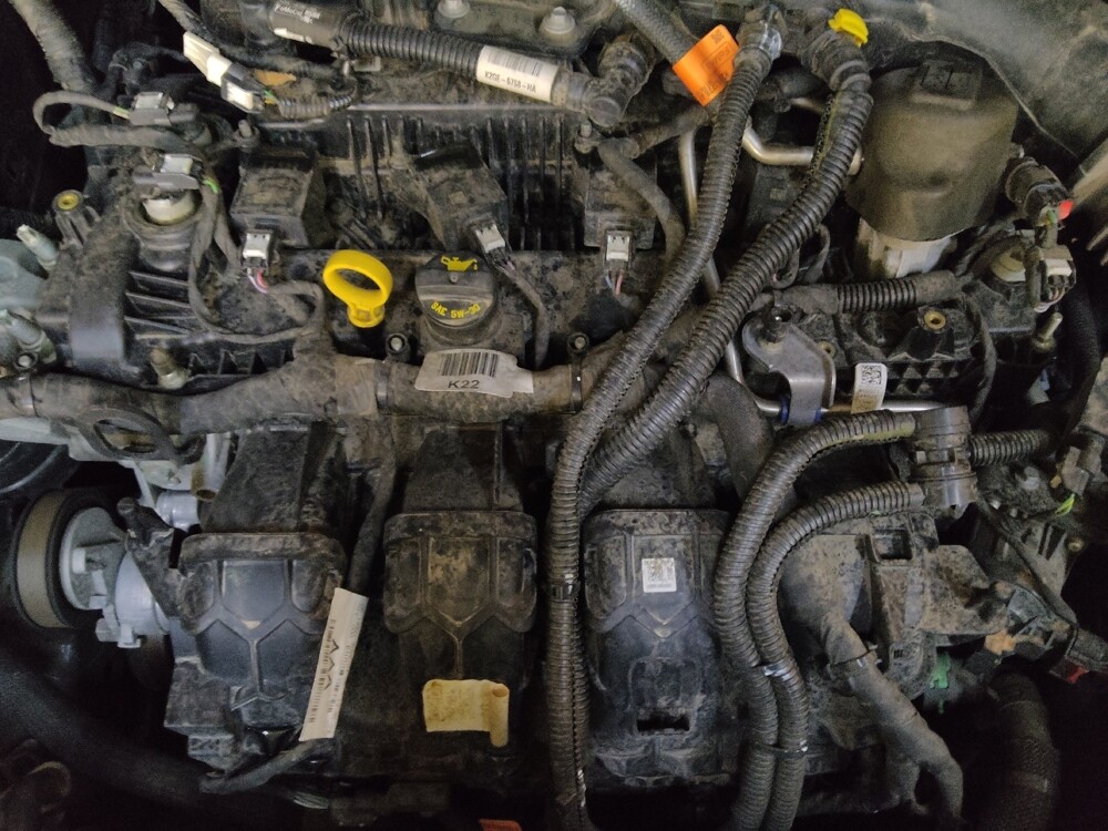 2022 Ford Edge in Charlotte, NC 28213 - 18074870 30