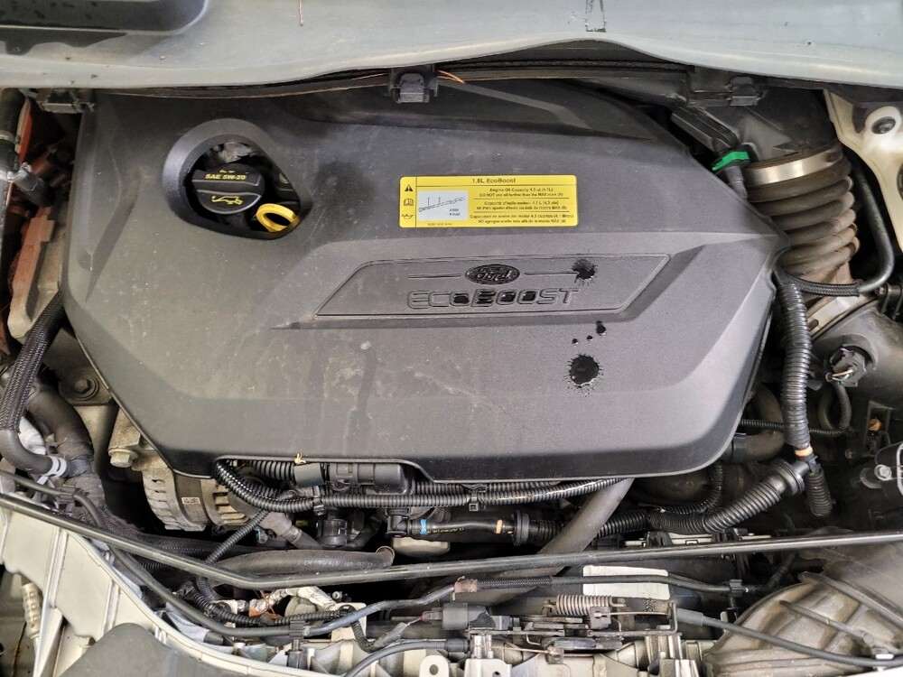 2014 Ford Escape in Lexington, KY 40509 - 18077945 30