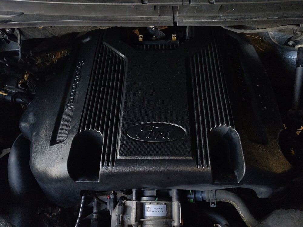 2019 Ford Expedition in West Palm Beach, FL 33409 - 18084902 30