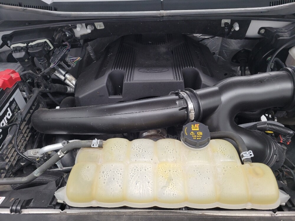 2019 Ford F150 in St. Louis, MO 63125 - 18085134 30