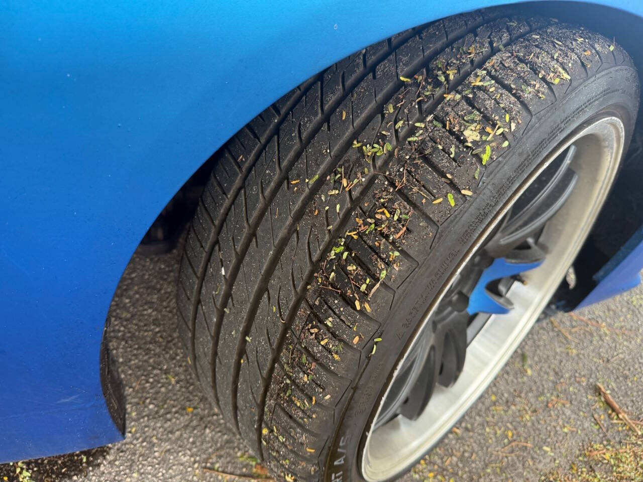 2015 INFINITI Q50 in Hollywood, FL 33023-1906 - 18086706 11