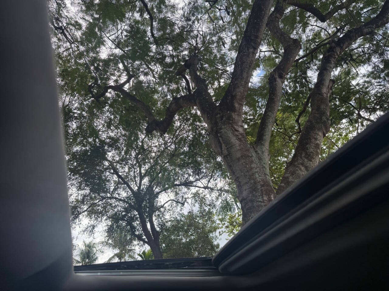 2015 INFINITI Q50 in Hollywood, FL 33023-1906 - 18086706 6