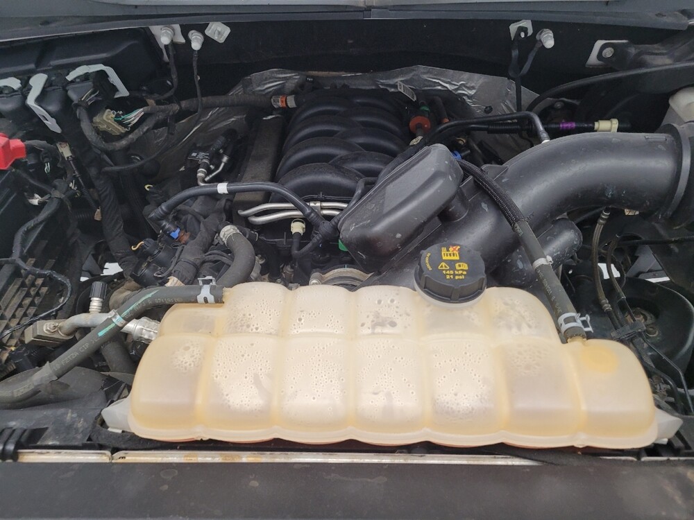 2019 Ford F150 in Memphis, TN 38115 - 18086802 30