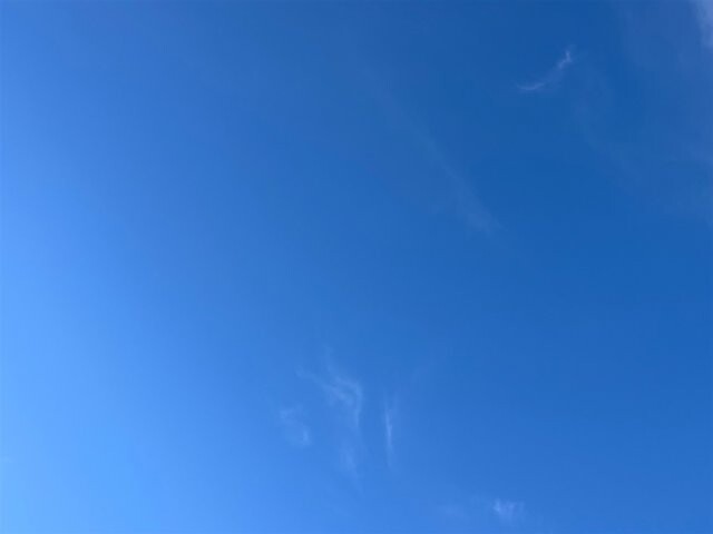 2011 Mercedes-Benz E 350 in Greenville, SC 29607 - 18087600 43