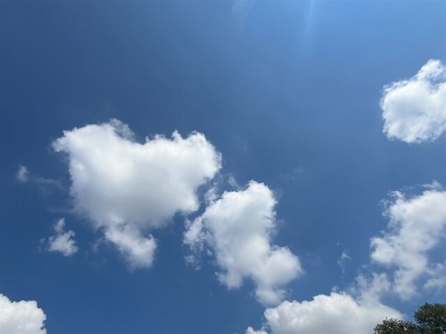 2016 Jeep Wrangler in Greenville, SC 29607 - 18087687 32