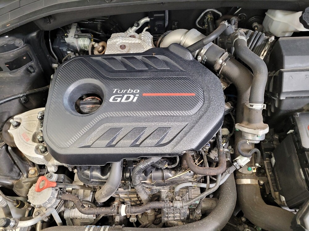 2019 Hyundai Santa Fe in Lexington, KY 40509 - 18088069 30