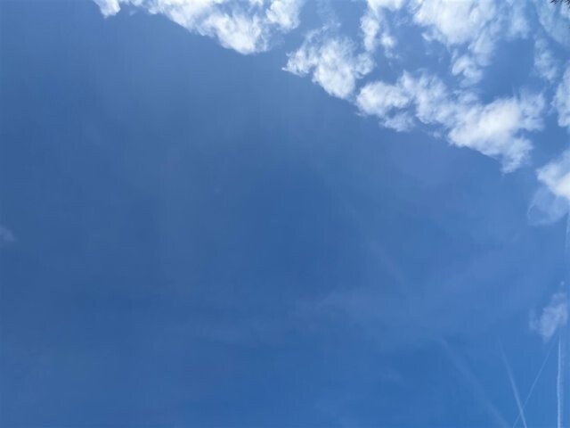 2016 Volvo V60 in Greenville, SC 29607 - 18089433 39