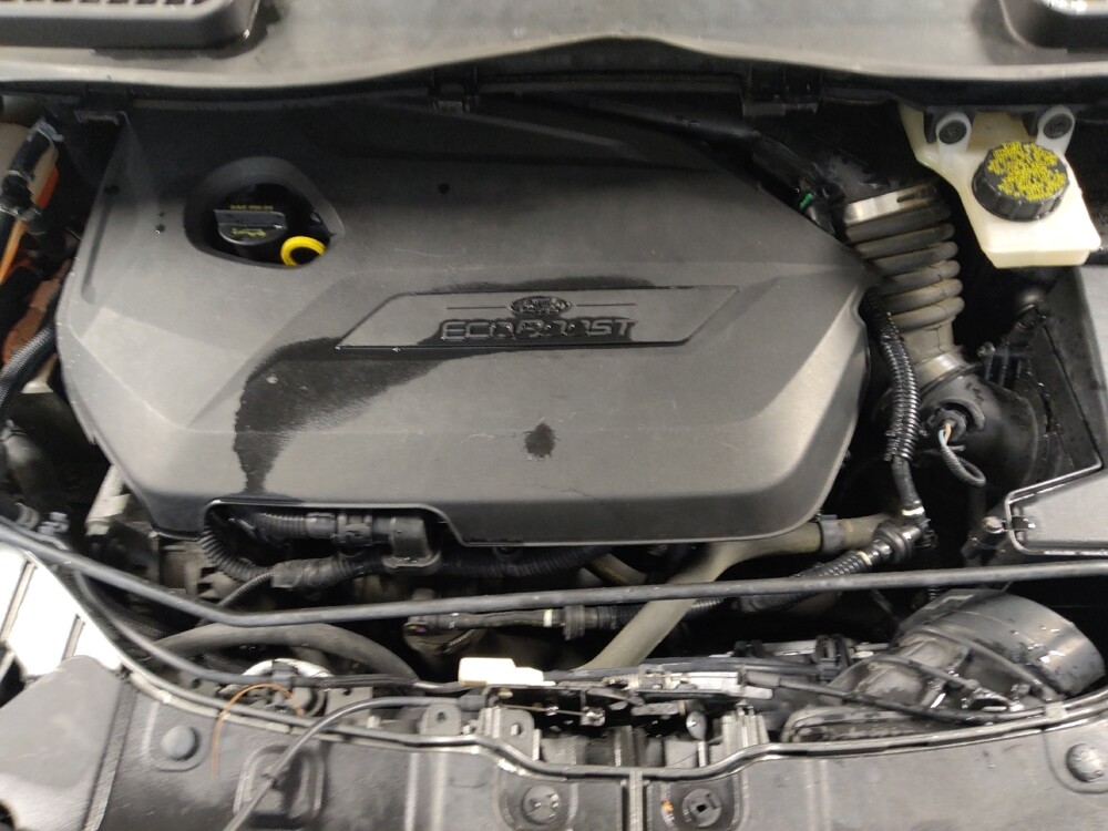 2014 Ford Escape in Live Oak, TX 78233 - 18089602 30