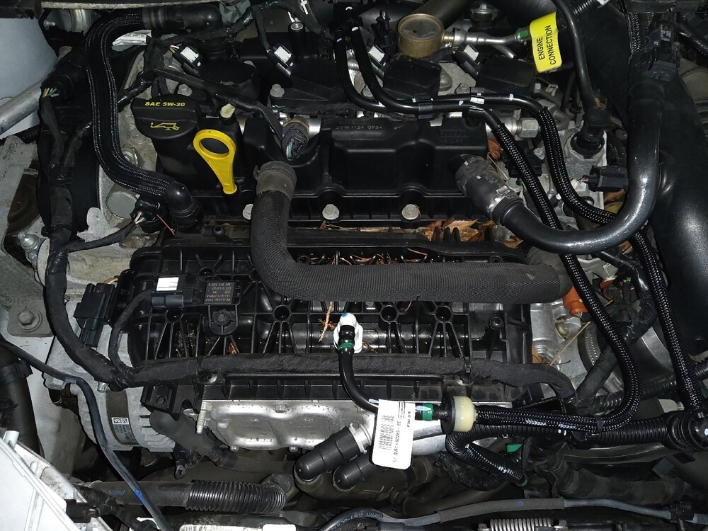 2019 Ford Escape in Ocala, FL 34471 - 18090203 30