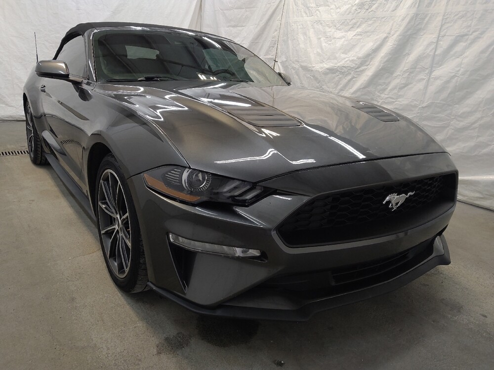 2019 Ford Mustang in Fairfield, OH 45014 - 18091018 13