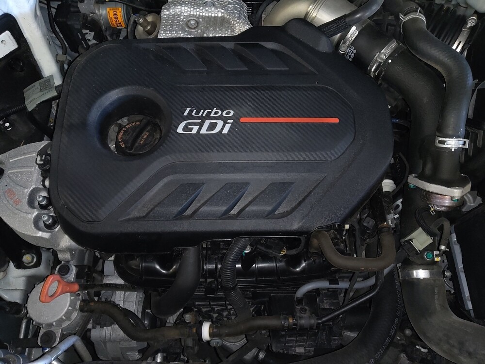 2019 Hyundai Santa Fe in Gainesville, FL 32609 - 18091167 30