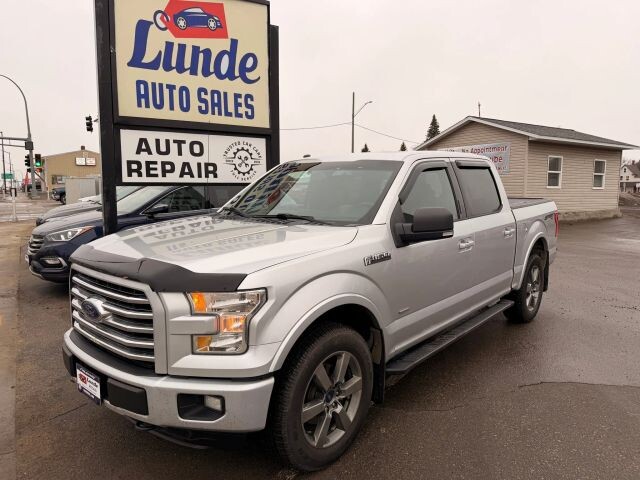 2016 Ford F150 in Wadena, MN 56482 - 18091504