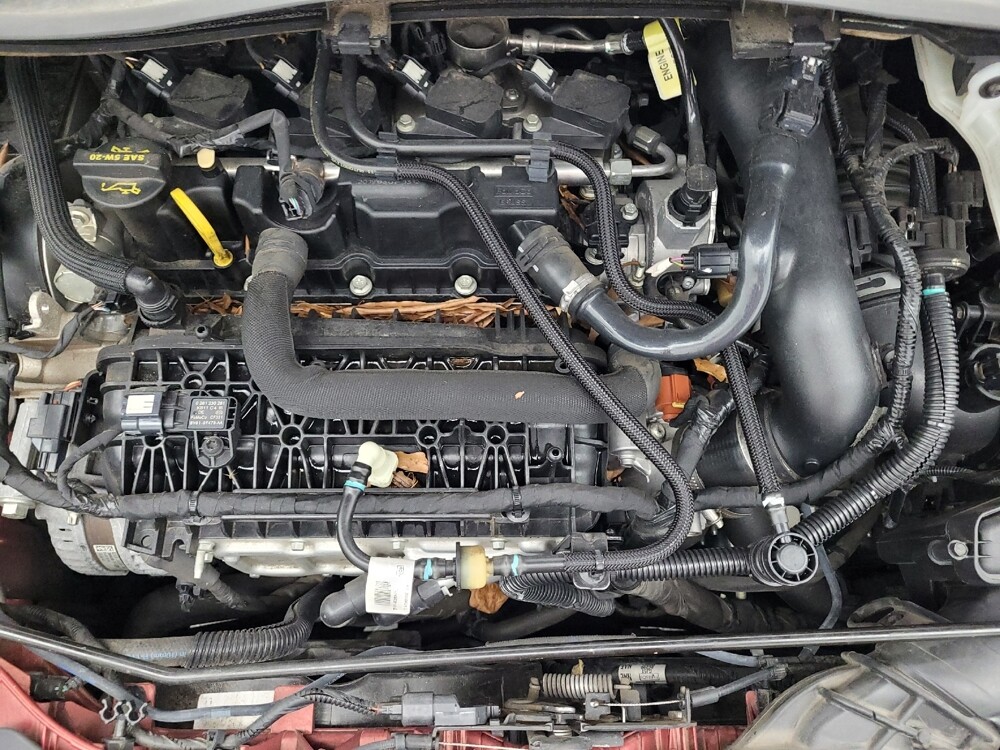 2019 Ford Escape in Greenville, NC 27834 - 18093089 30