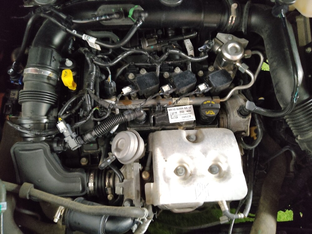 2021 Ford EcoSport in Augusta, GA 30907 - 18093927 30