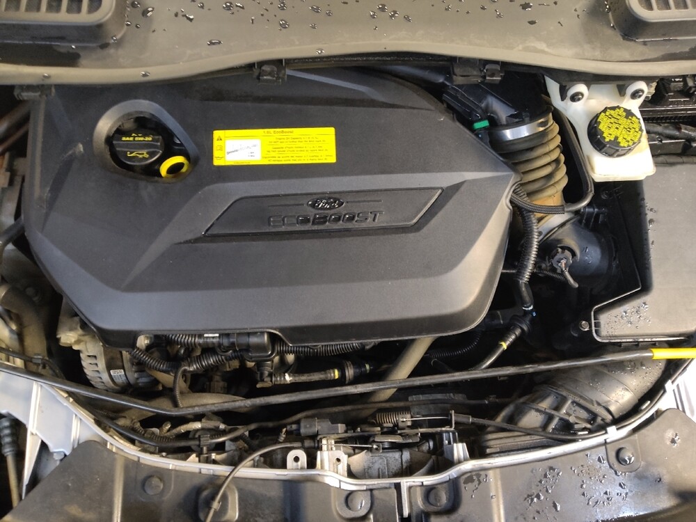 2016 Ford Escape in Greenville, SC 29607 - 18095727 30