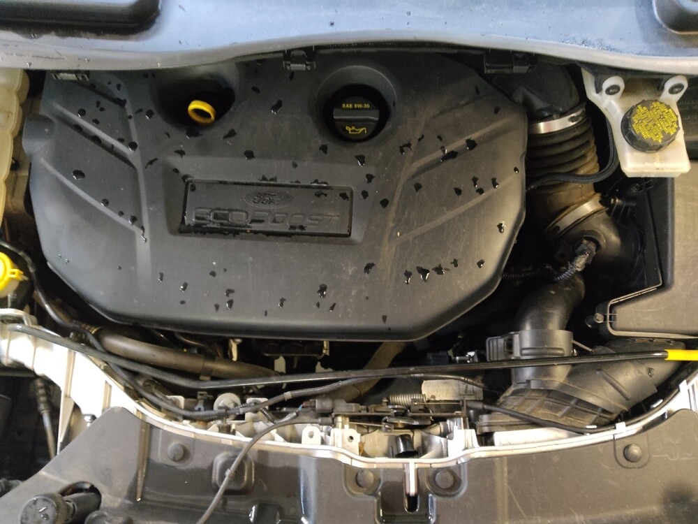 2014 Ford Escape in Greenville, SC 29607 - 18096470 30