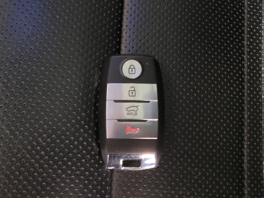 2019 Kia Sorento in Gainesville, FL 32609 - 18097037 32