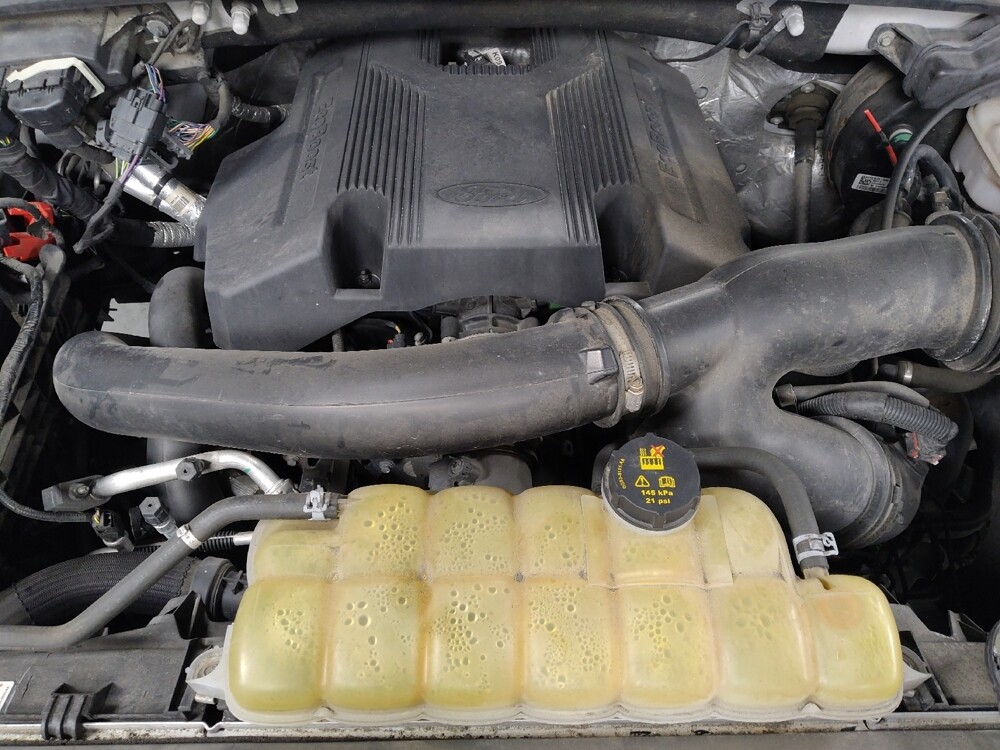 2019 Ford F150 in Chattanooga, TN 37421 - 18097578 30