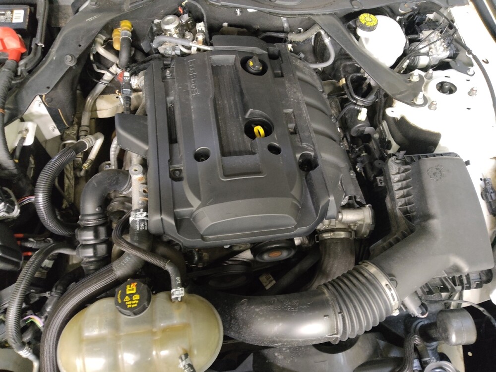 2019 Ford Mustang in Conway, SC 29526 - 18097735 30