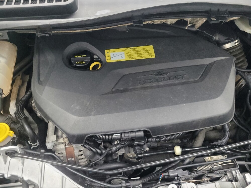 2013 Ford Escape in Indianapolis, IN 46219 - 18097857 30