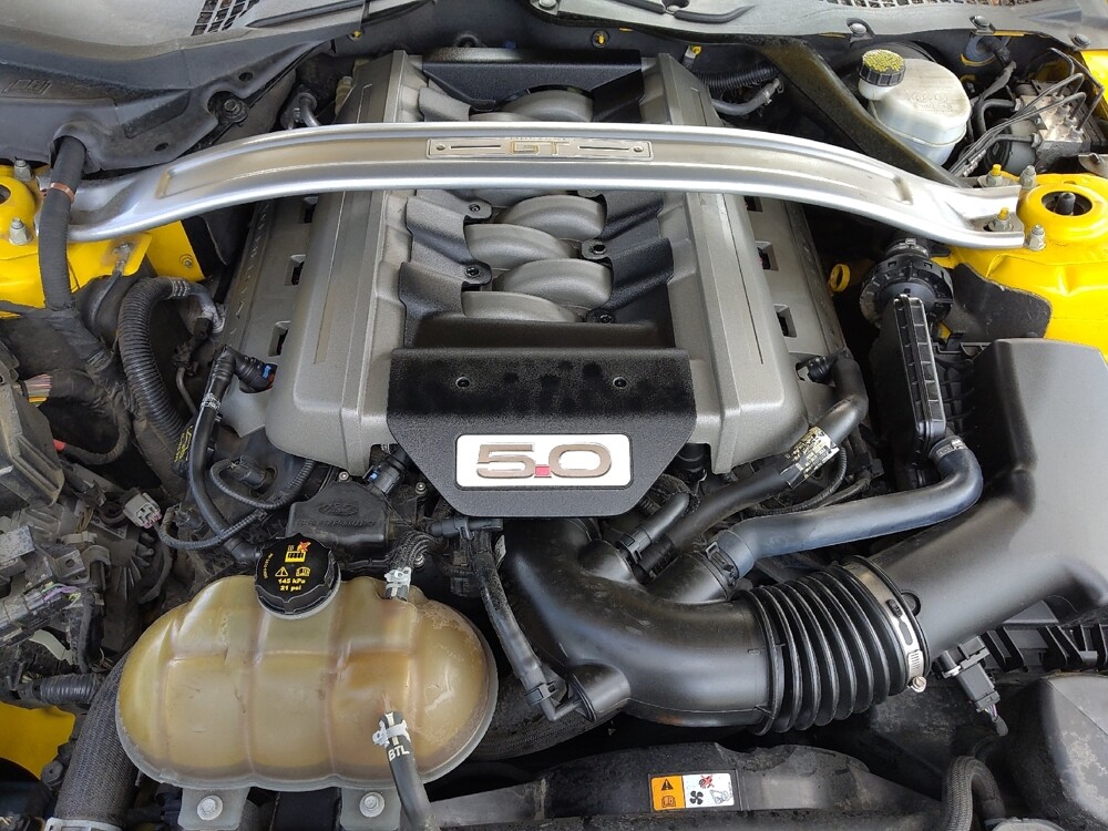 2015 Ford Mustang in Clearwater, FL 33764 - 18098243 30