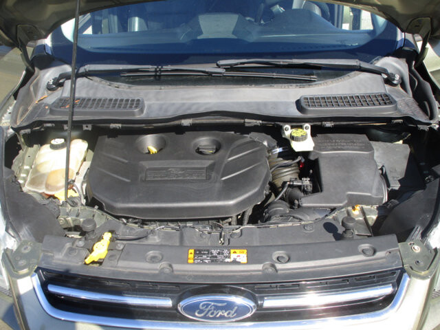 2013 Ford Escape in Tampa, FL 33604-6914 - 18098518 22