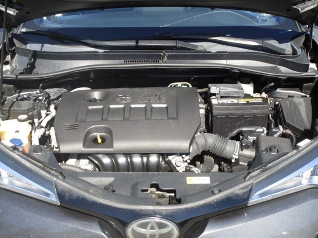 2019 Toyota C-HR in Tampa, FL 33604-6914 - 18098519 20