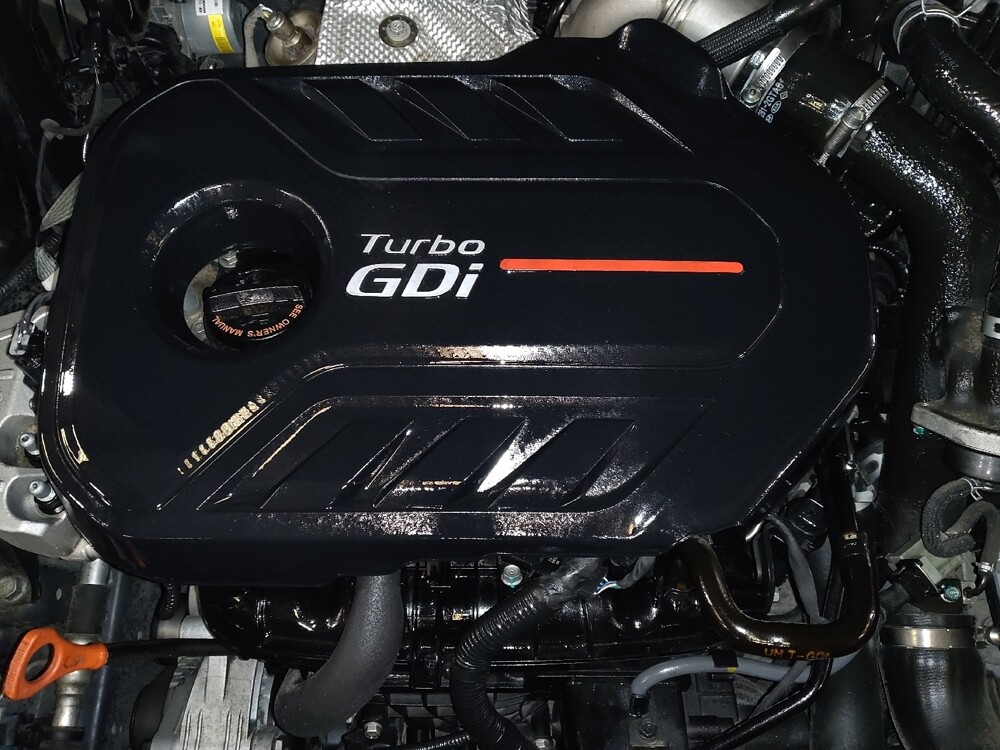 2018 Hyundai Santa Fe in Jacksonville, FL 32210 - 18098732 30