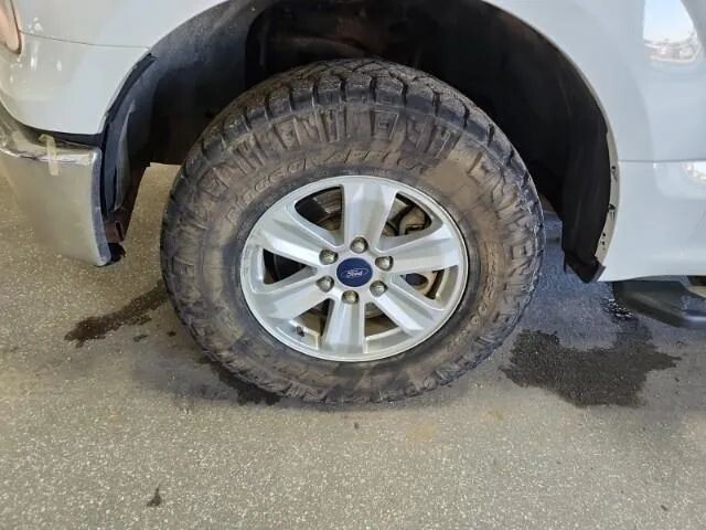 2015 Ford F150 in Wadena, MN 56482 - 18098787 8