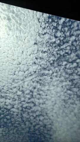 2014 Cadillac SRX in Greenville, SC 29607 - 18100453 38