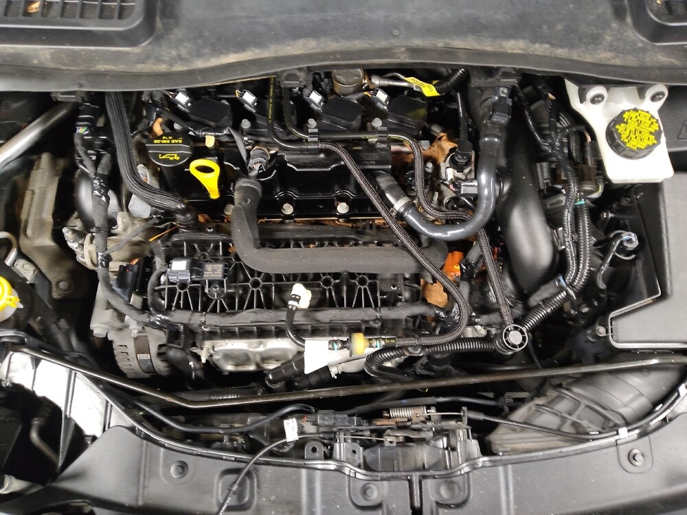 2019 Ford Escape in Chattanooga, TN 37421 - 18101557 30