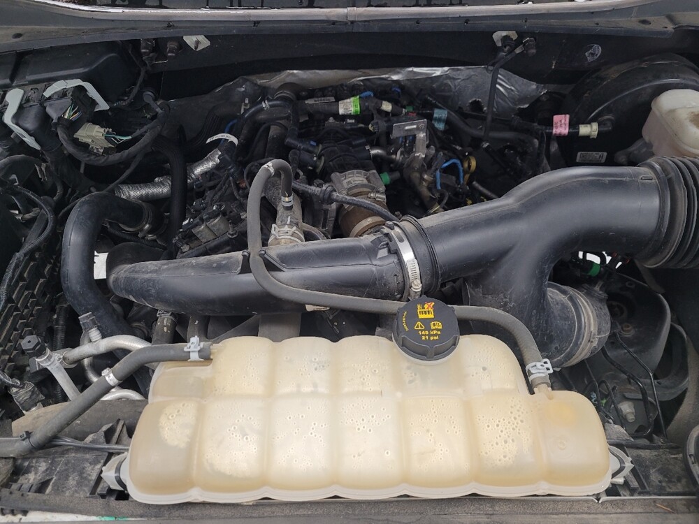 2019 Ford F150 in Huntsville, AL 35816 - 18101629 30