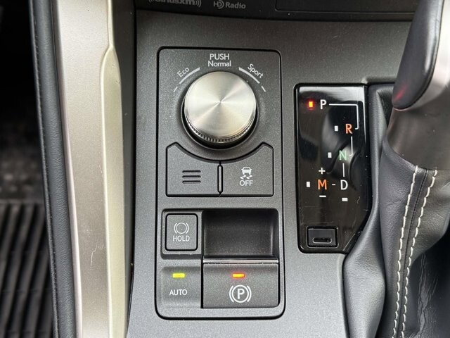 2021 Lexus NX 300 in Winchester, VA 22602 - 18101972 19