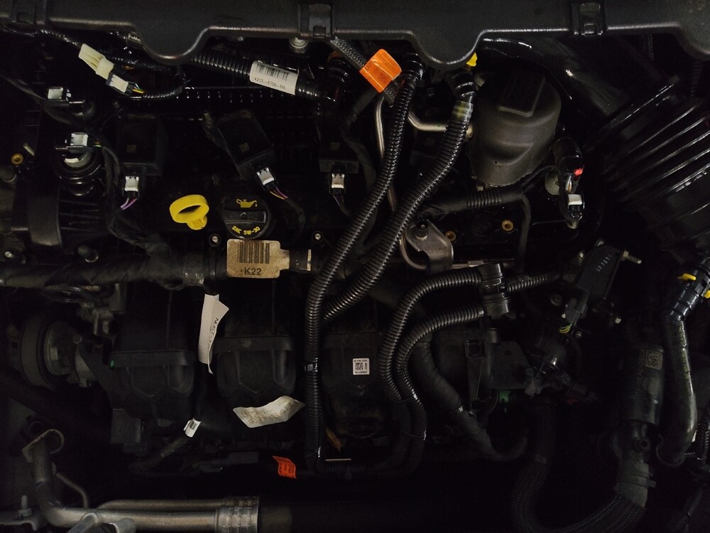 2024 Ford Edge in Tallahassee, FL 32304 - 18102599 30