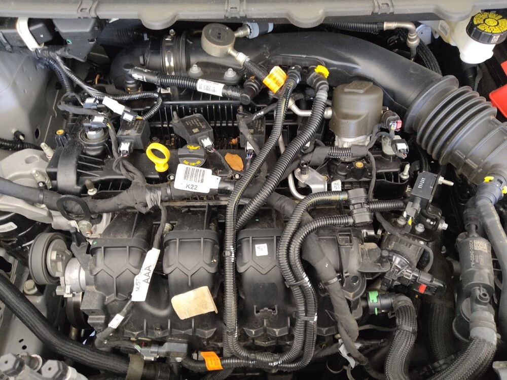 2024 Ford Edge in Tallahassee, FL 32304 - 18102625 30