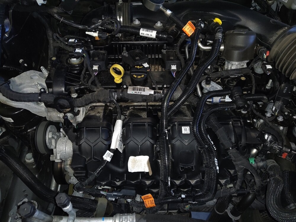 2024 Ford Edge in West Palm Beach, FL 33409 - 18102764 30