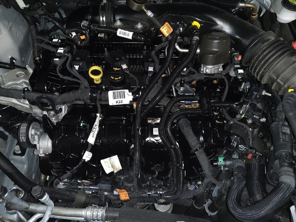 2024 Ford Edge in Augusta, GA 30907 - 18102771 30