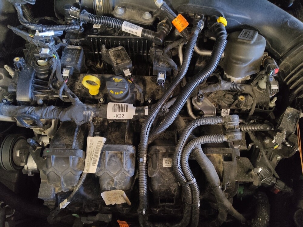 2024 Ford Edge in Savannah, GA 31419 - 18102812 30