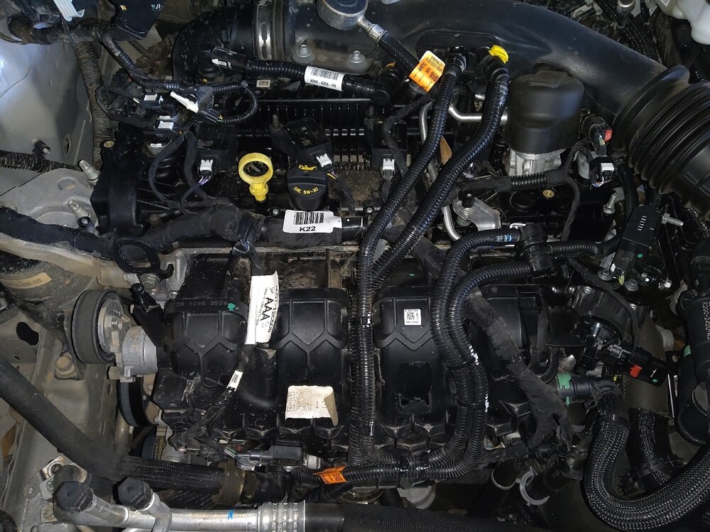 2024 Ford Edge in Gainesville, FL 32609 - 18102832 30