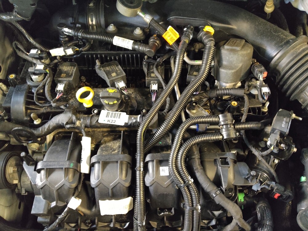 2024 Ford Edge in Greenville, NC 27834 - 18102938 30