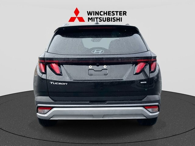 2025 Hyundai Tucson in Winchester, VA 22602 - 18104203 3