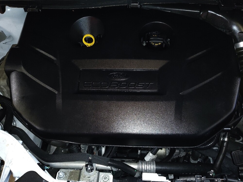 2017 Ford Escape in Greenville, NC 27834 - 18104862 30