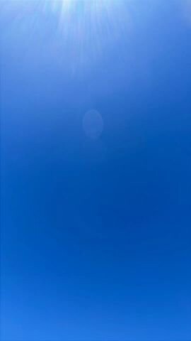 2020 Nissan Altima in Greenville, SC 29607 - 18105382 38